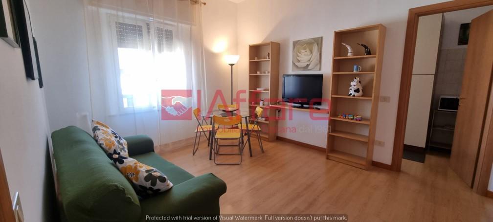 Bilocale arredato in affitto, Pontedera centro
