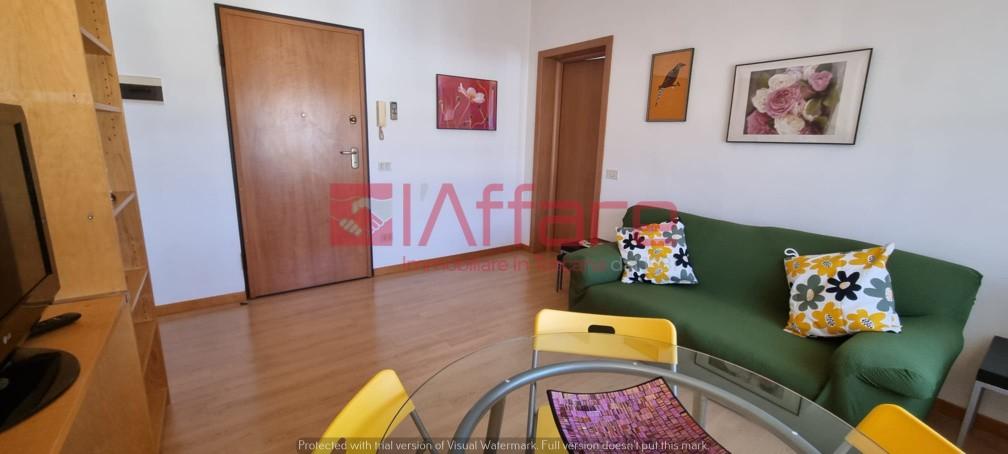 Bilocale arredato in affitto, Pontedera centro