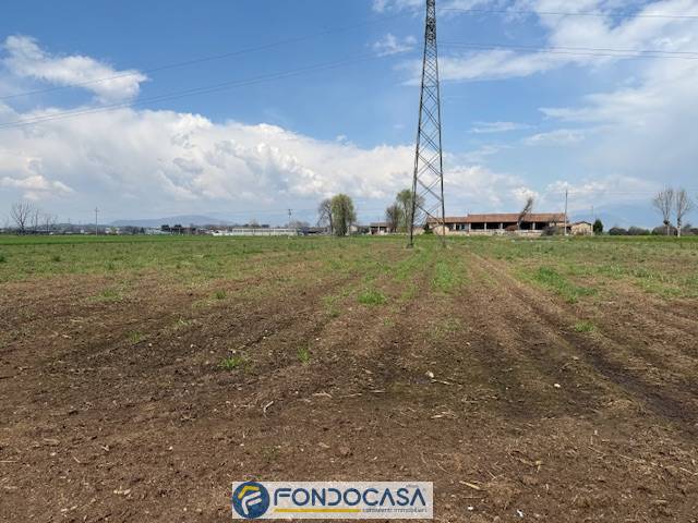 immagine annuncio 2 di 4