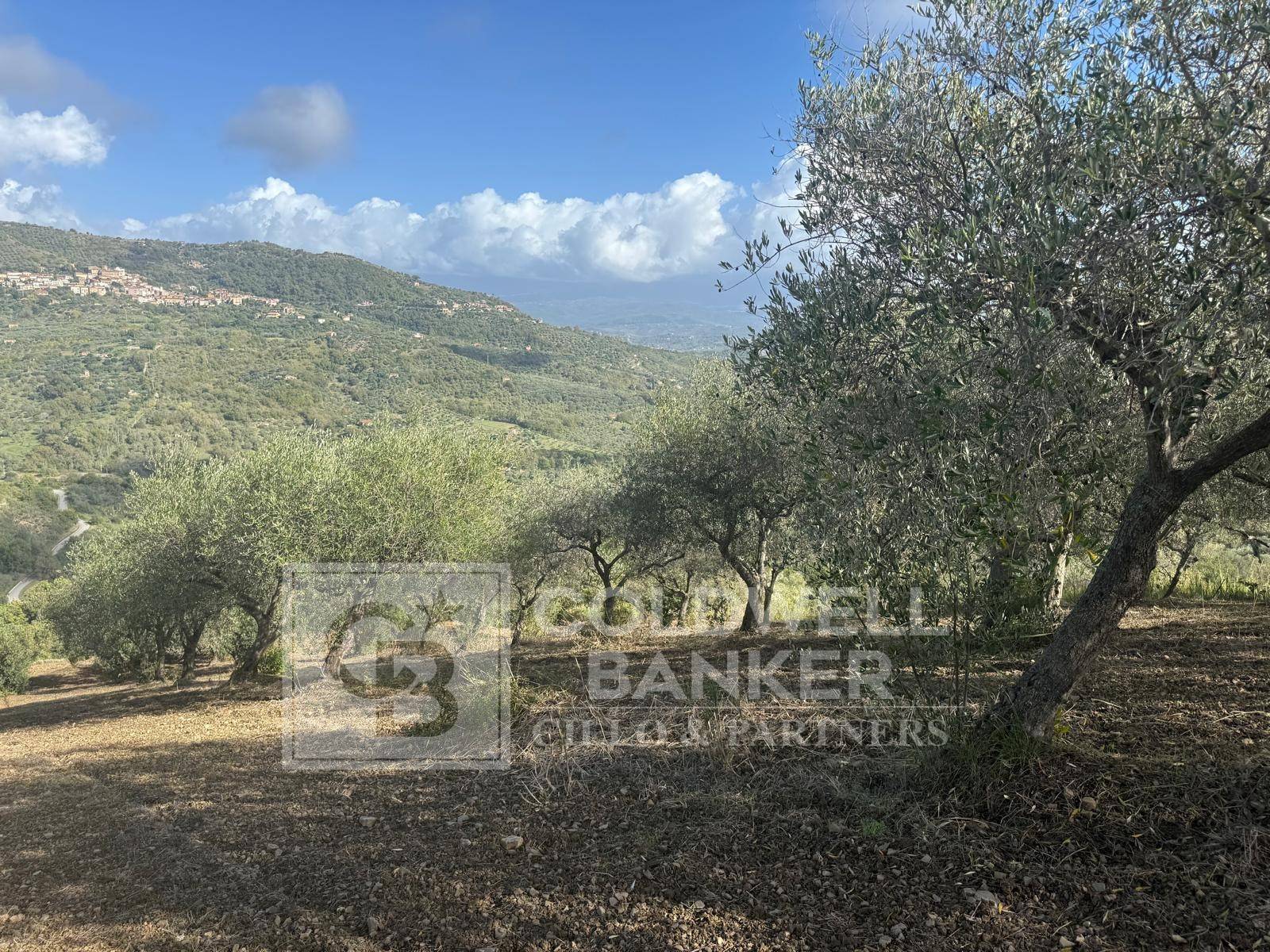 Terreno agricolo in vendita a Casal Velino