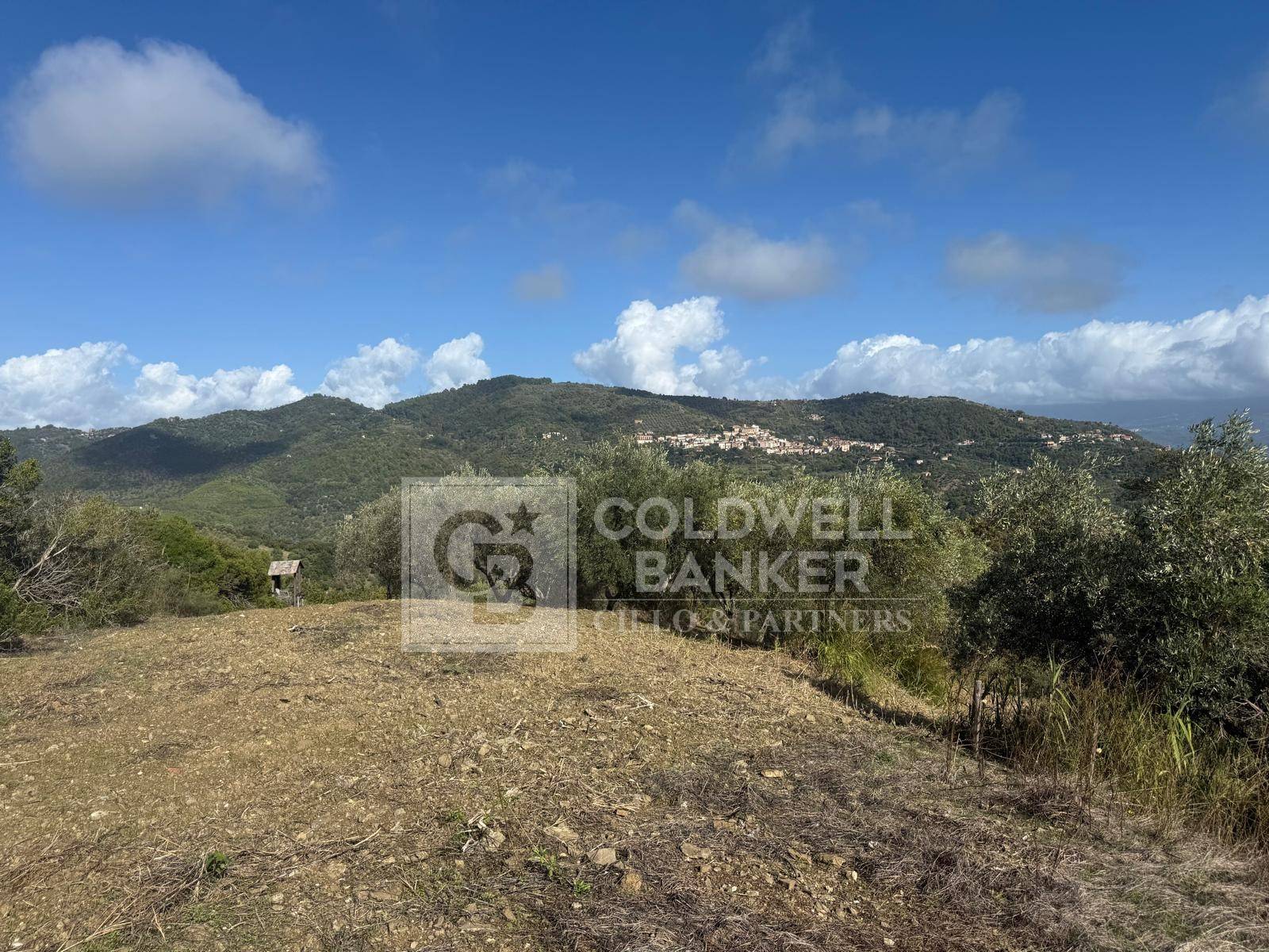 Terreno agricolo in vendita a Casal Velino
