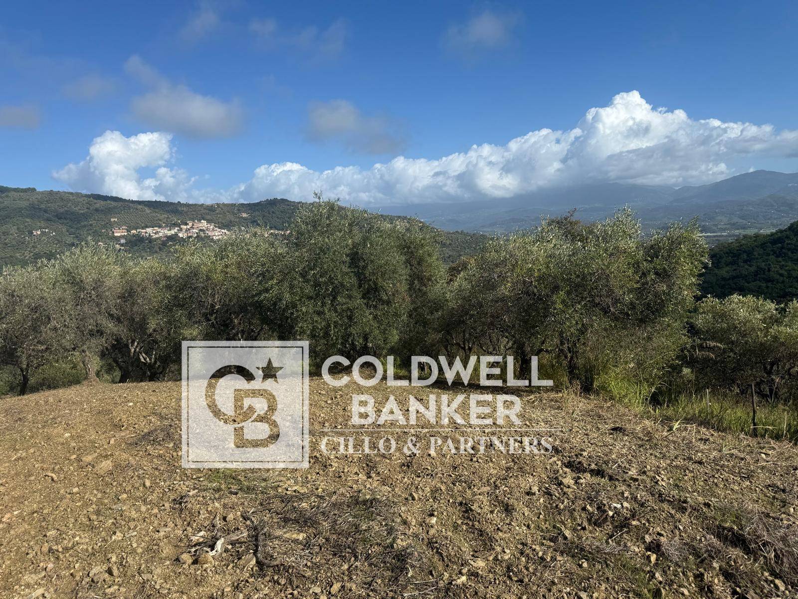 Terreno agricolo in vendita a Casal Velino