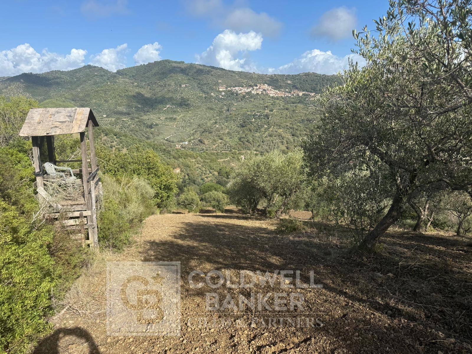 Terreno agricolo in vendita a Casal Velino