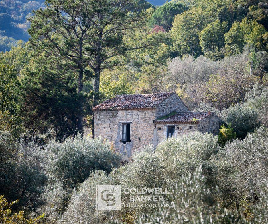 Rustico/Casale/Corte in vendita a Omignano