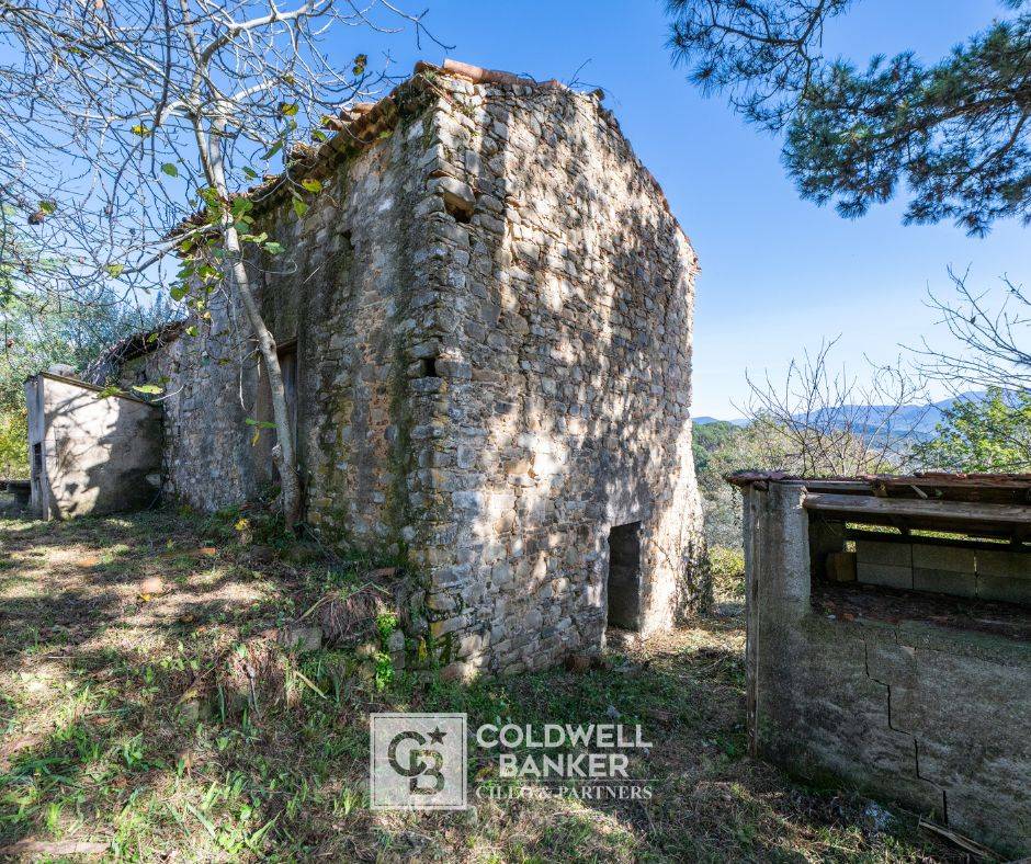 Rustico/Casale/Corte in vendita a Omignano
