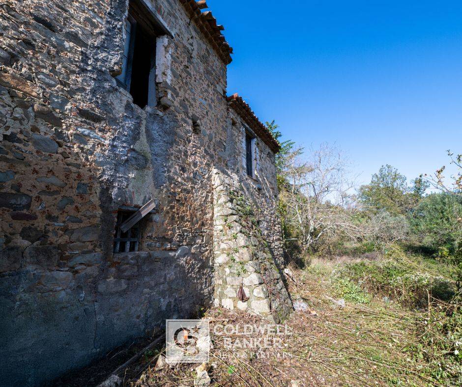 Rustico/Casale/Corte in vendita a Omignano
