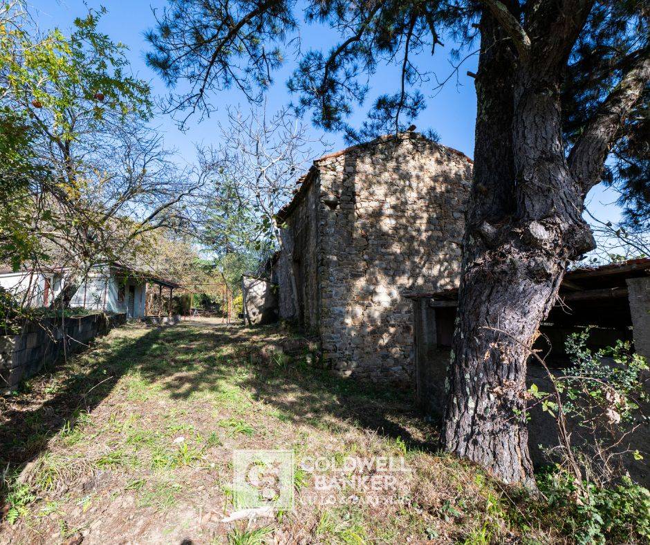 Rustico/Casale/Corte in vendita a Omignano