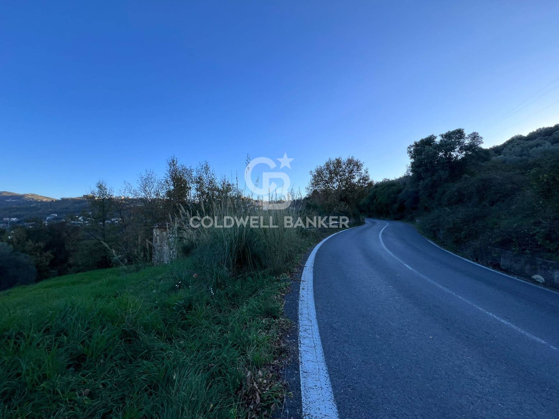 Terreno agricolo in vendita a Ogliastro Cilento