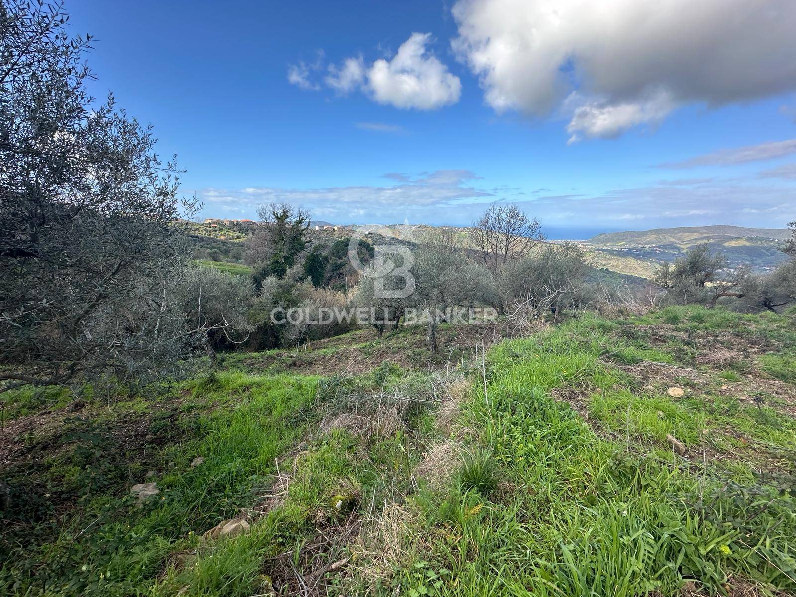 Terreno agricolo in vendita a Perdifumo, Vatolla