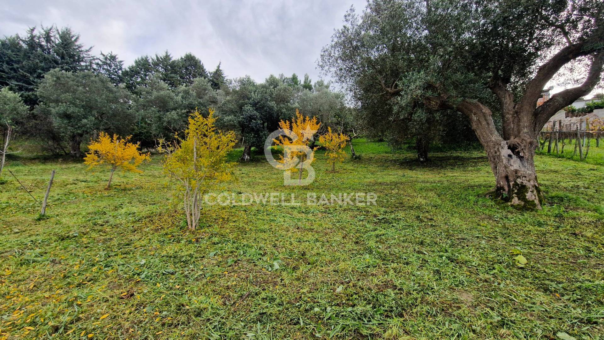 Casa indipendente in vendita a Rutino