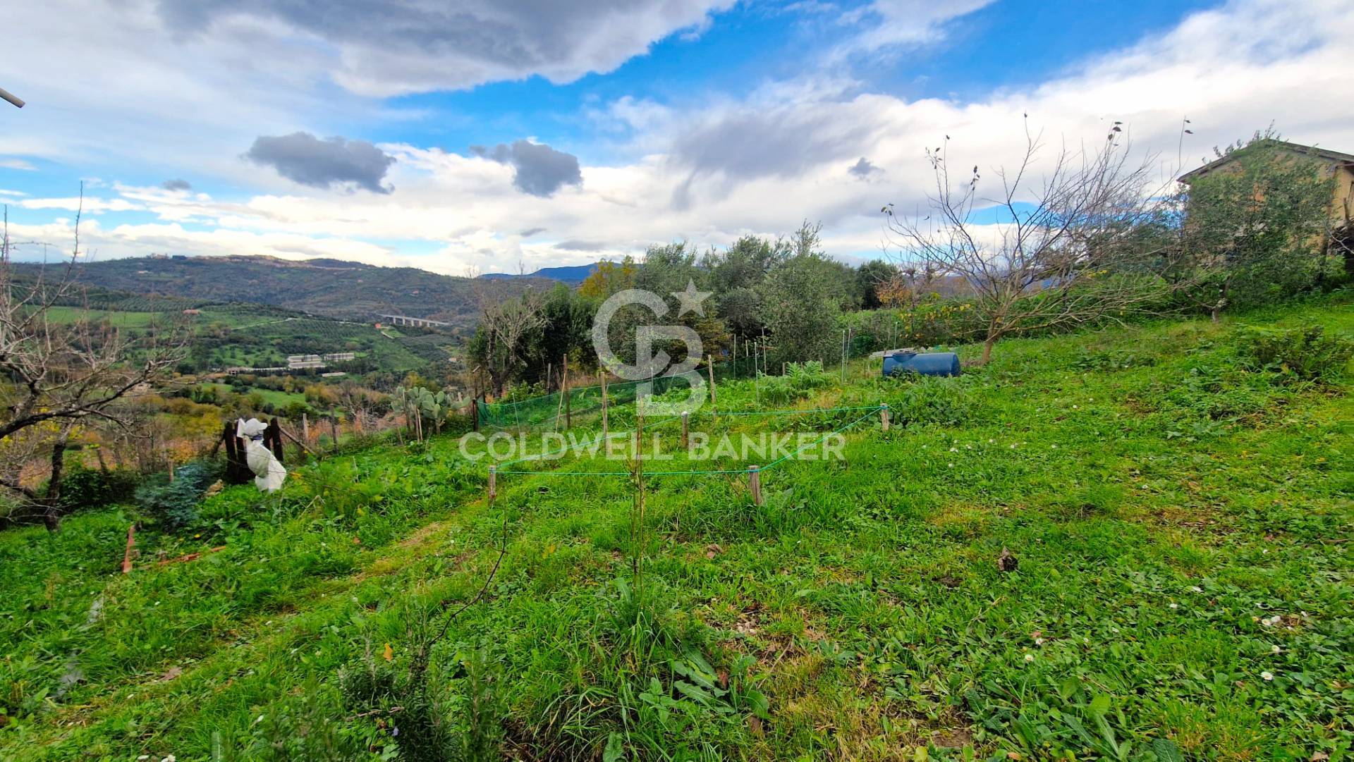 immagine annuncio 9 di 10