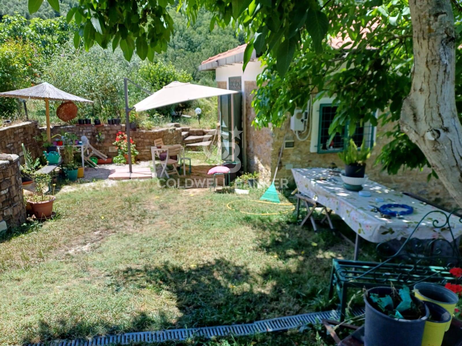 immagine annuncio 3 di 6