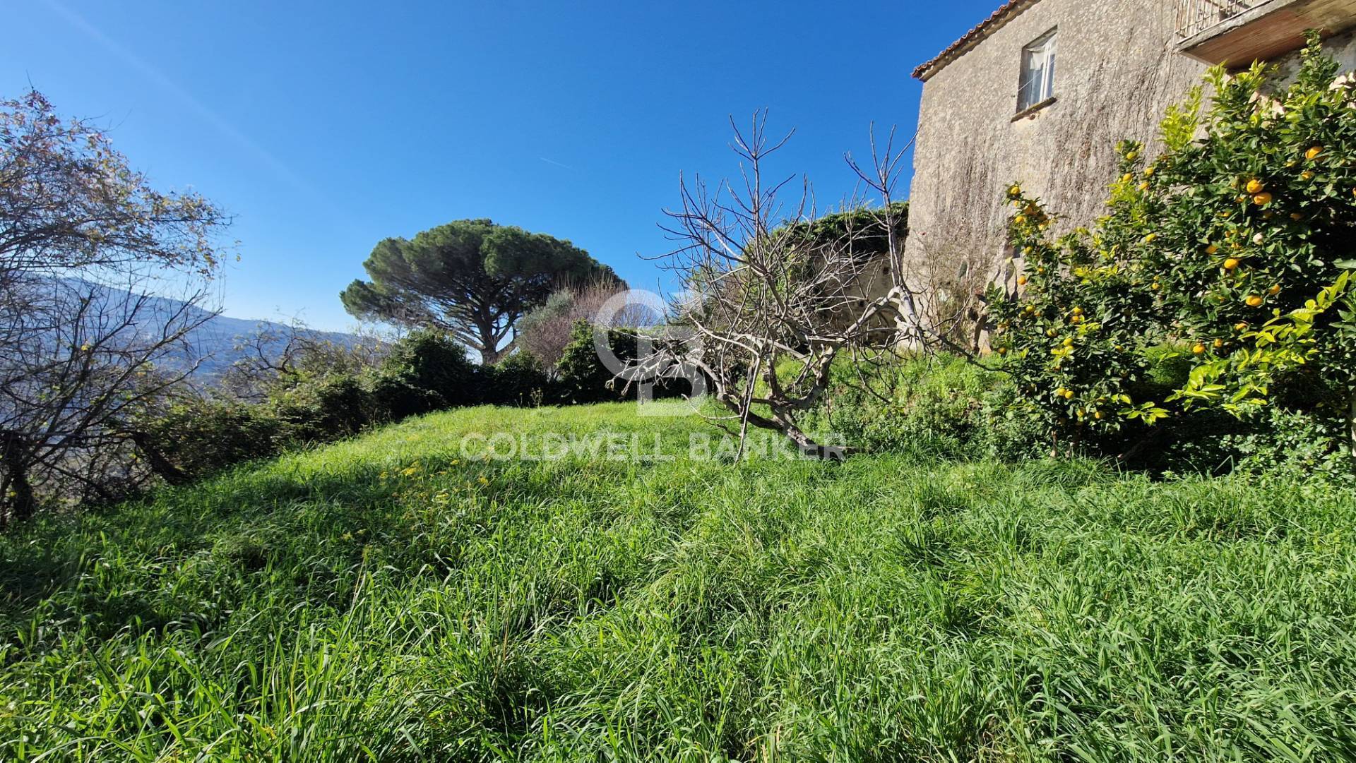 Casa indipendente in vendita a Cicerale, Monte Cicerale