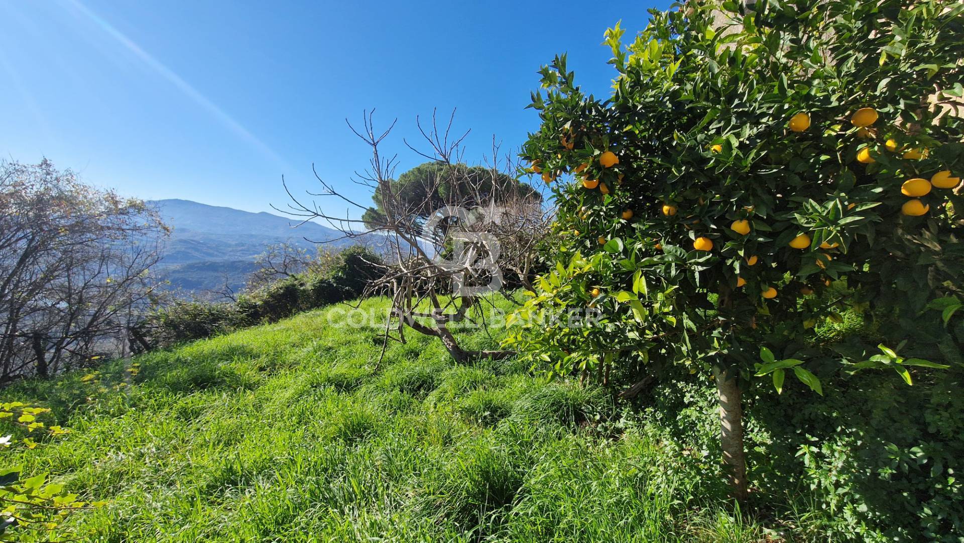 Casa indipendente in vendita a Cicerale, Monte Cicerale
