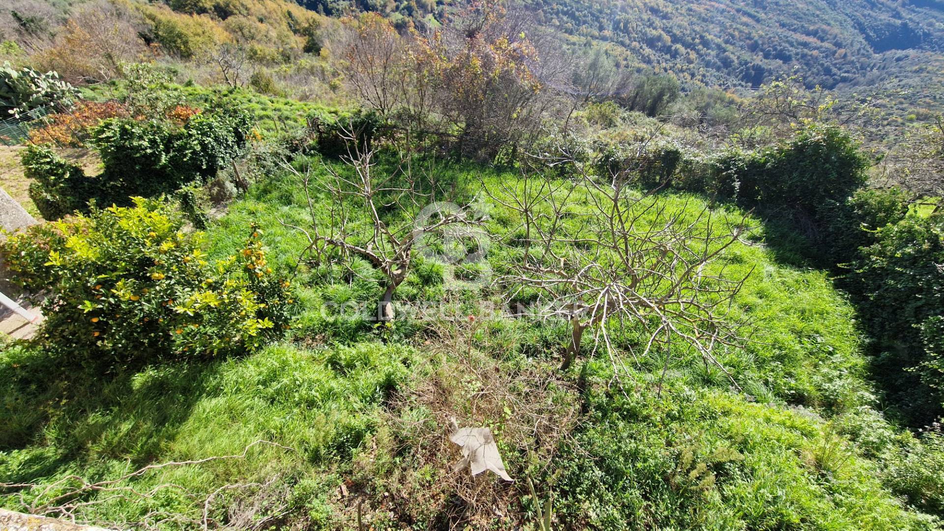 Casa indipendente in vendita a Cicerale, Monte Cicerale