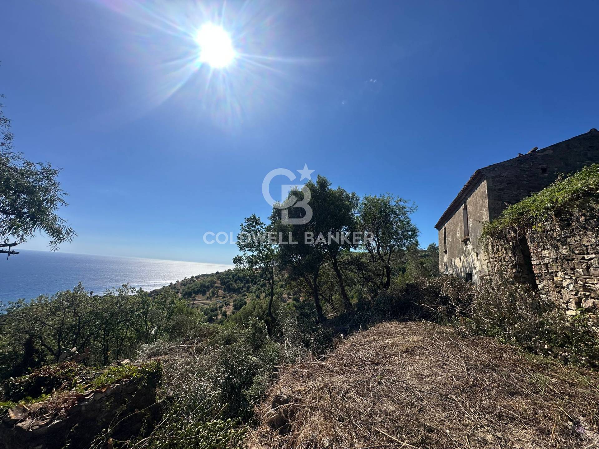 Terreno agricolo in vendita a Pollica, Acciaroli