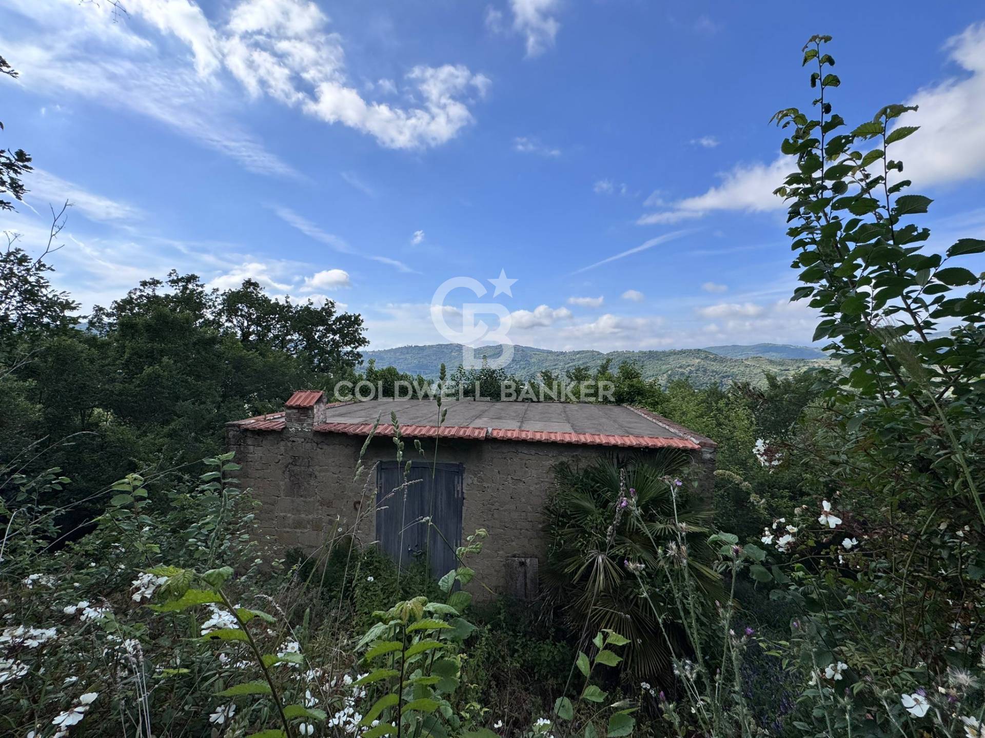 Terreno agricolo in vendita a Rutino