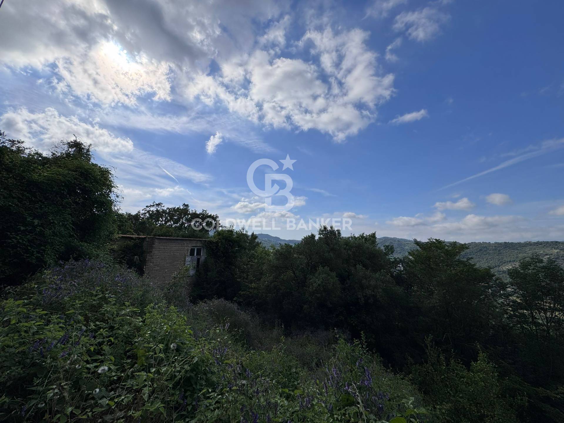 Terreno agricolo in vendita a Rutino
