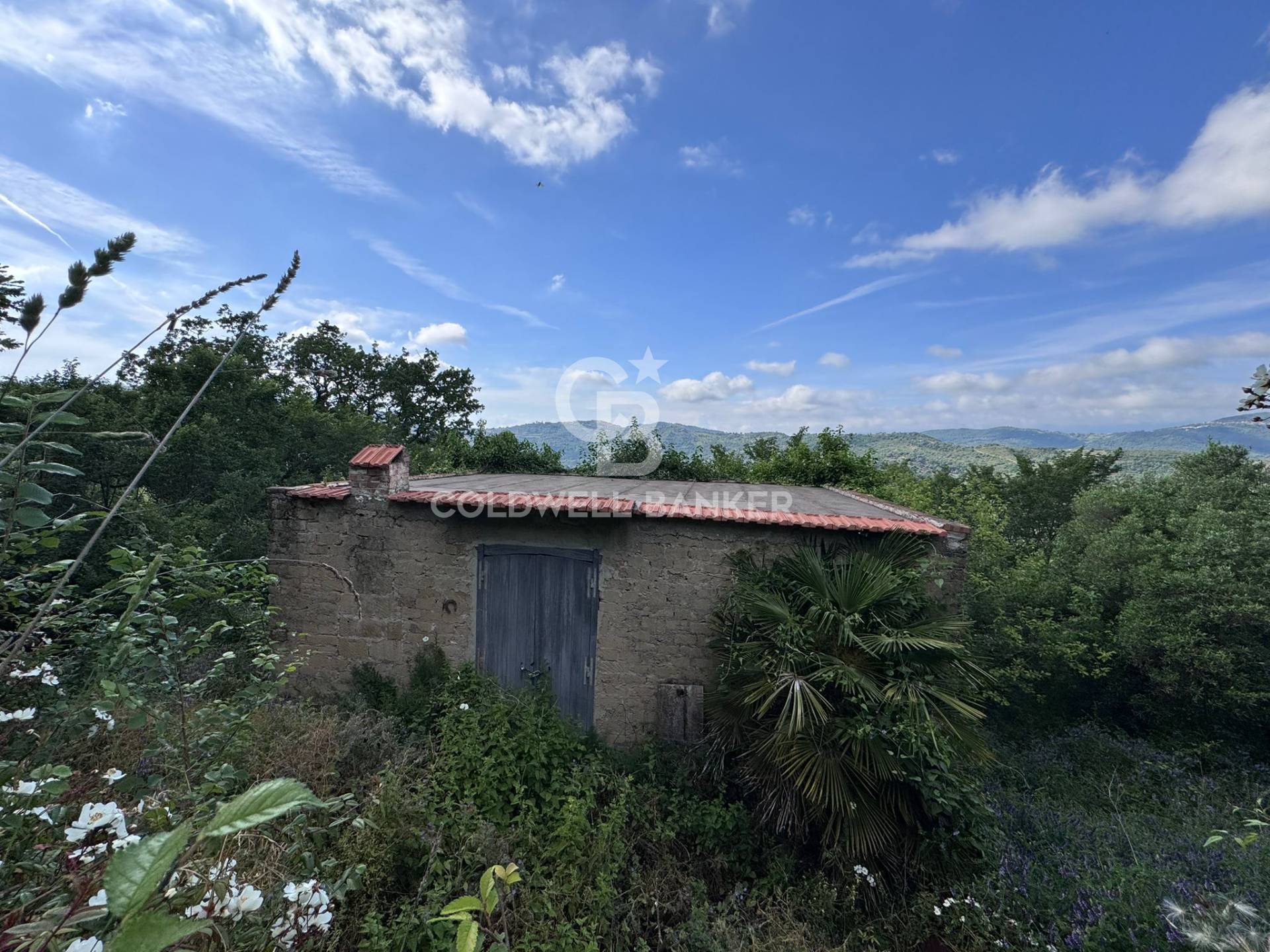 Terreno agricolo in vendita a Rutino