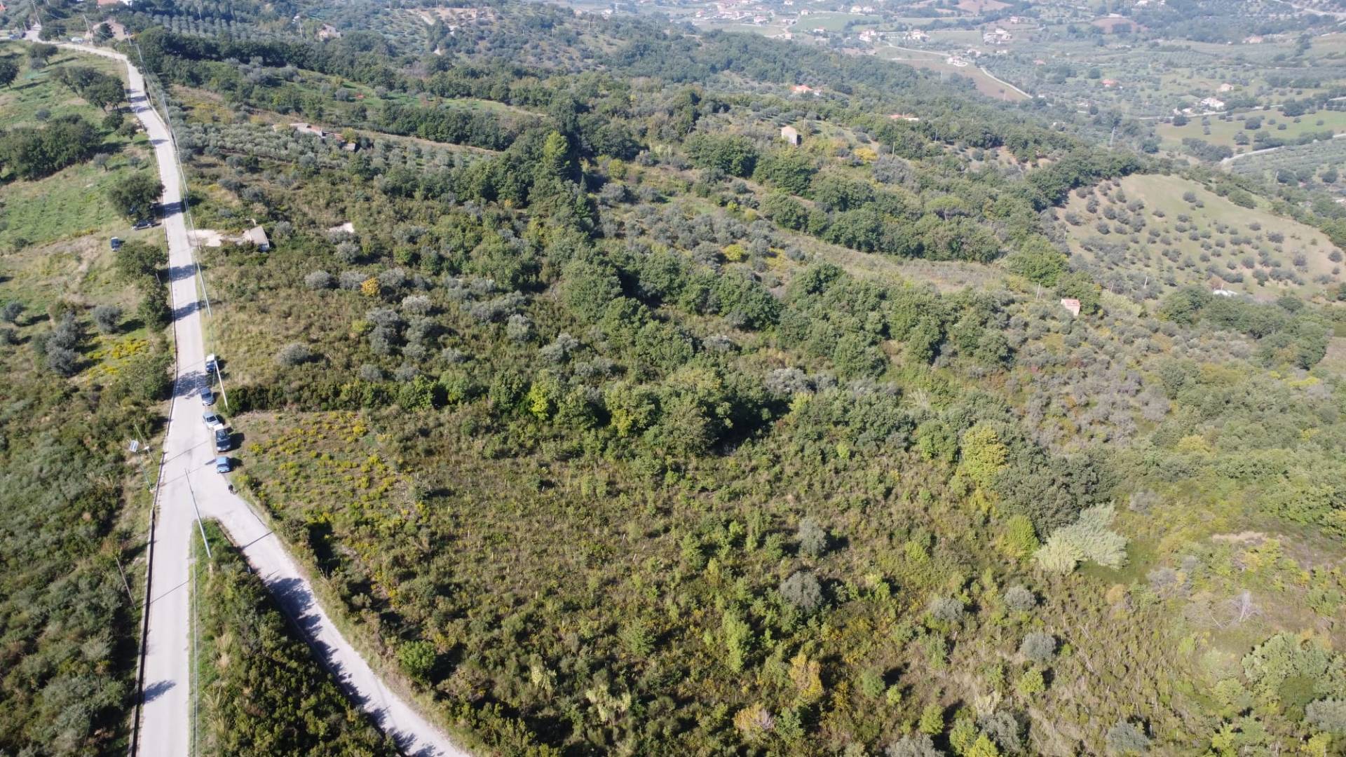 Terreno agricolo in vendita a Giungano