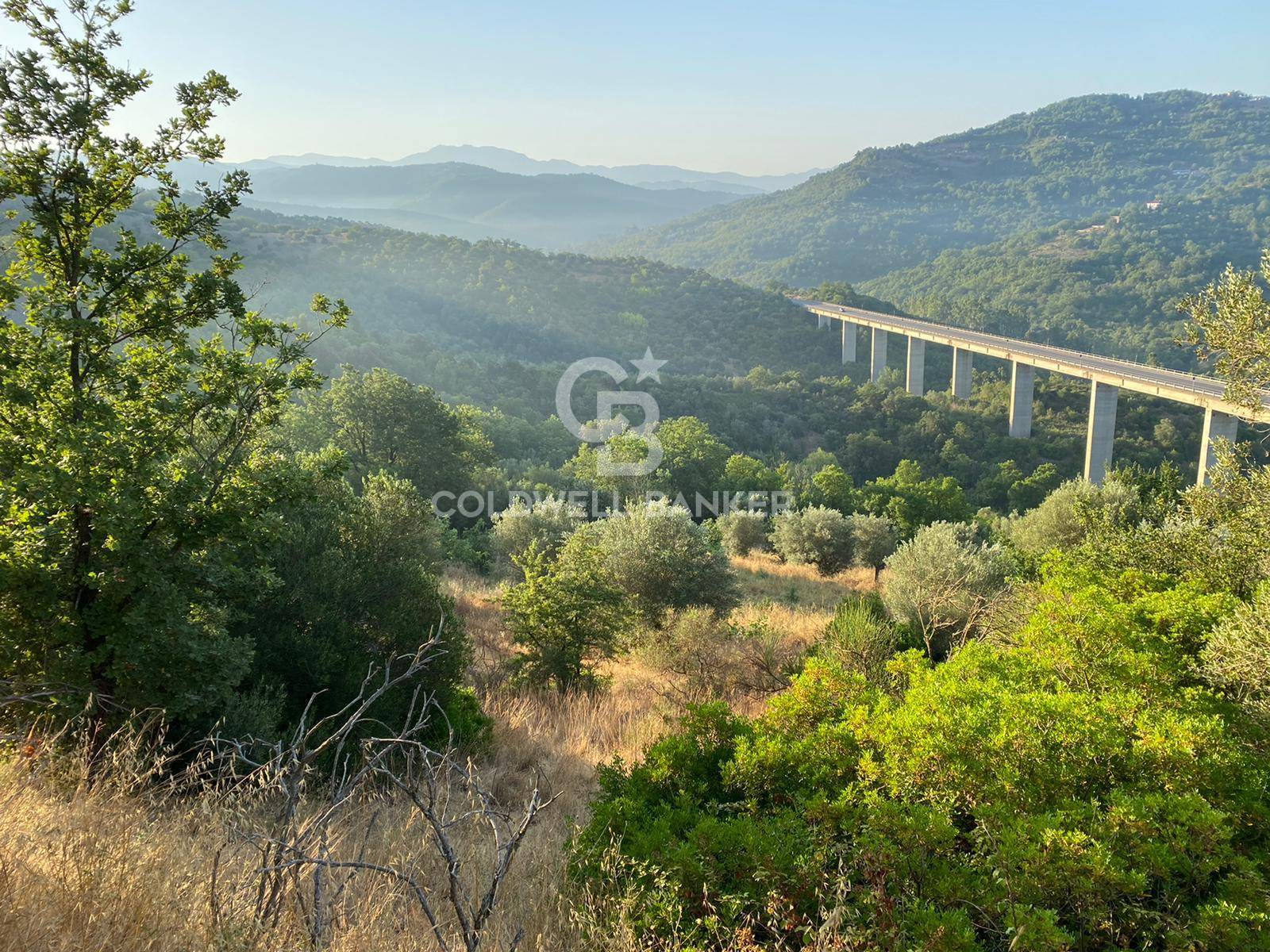 Rustico/Casale/Corte in vendita a Prignano Cilento