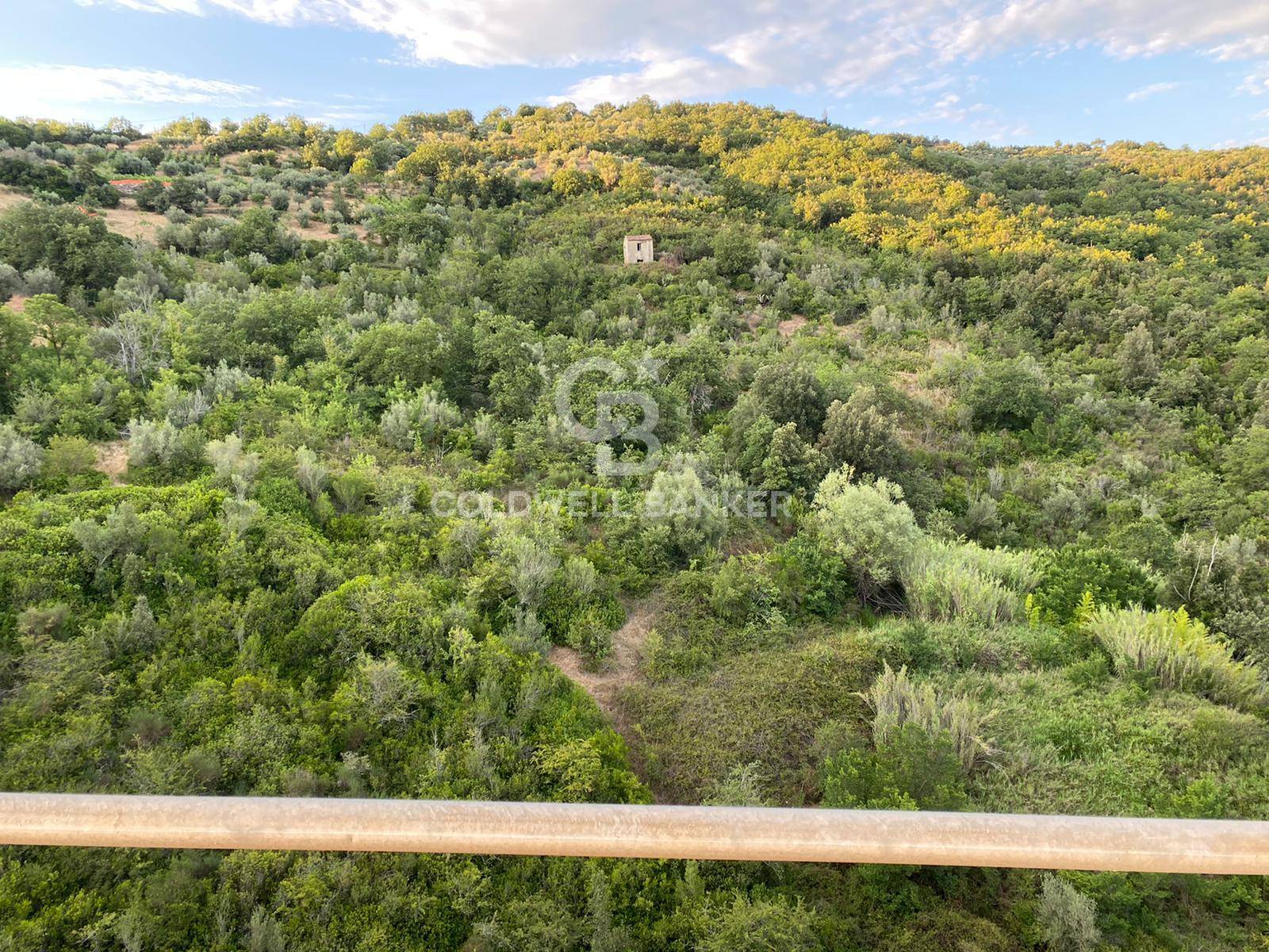 Rustico/Casale/Corte in vendita a Prignano Cilento