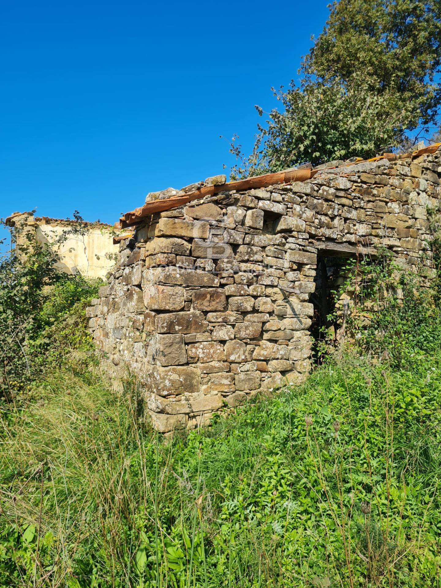 Terreno agricolo in vendita a Agropoli