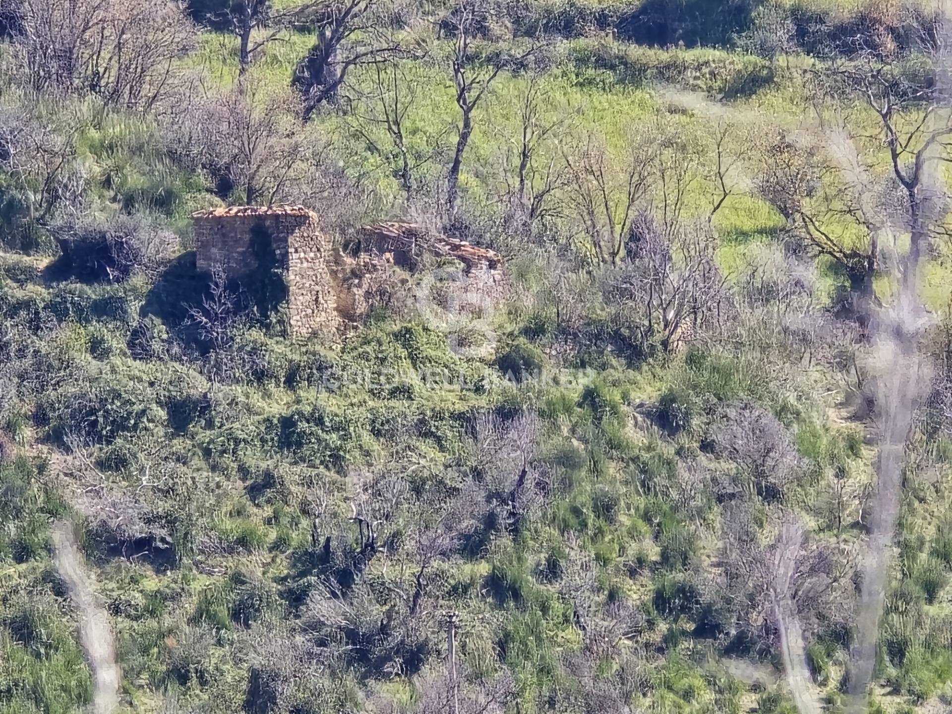 Terreno agricolo in vendita a Agropoli