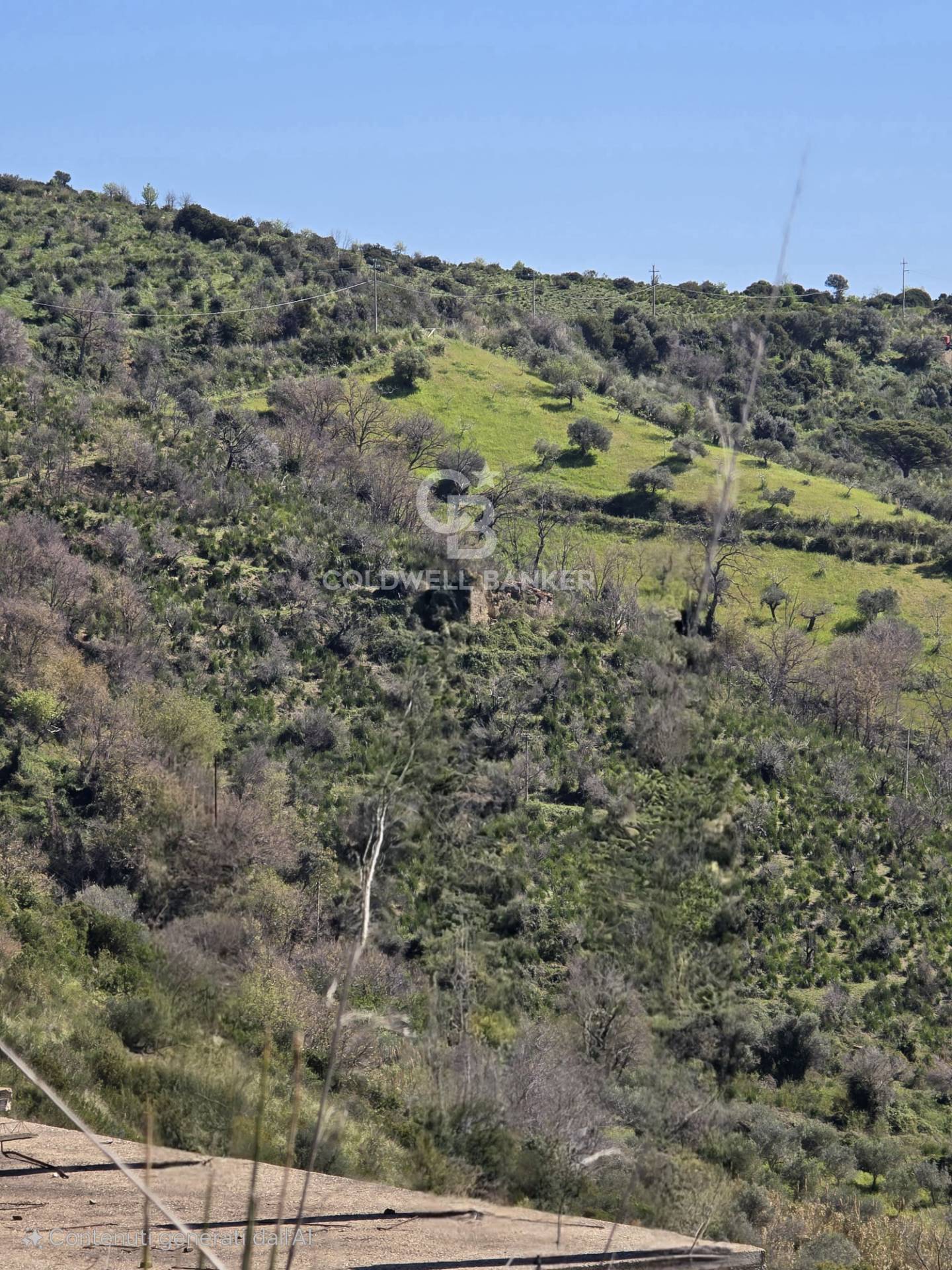 Terreno agricolo in vendita a Agropoli