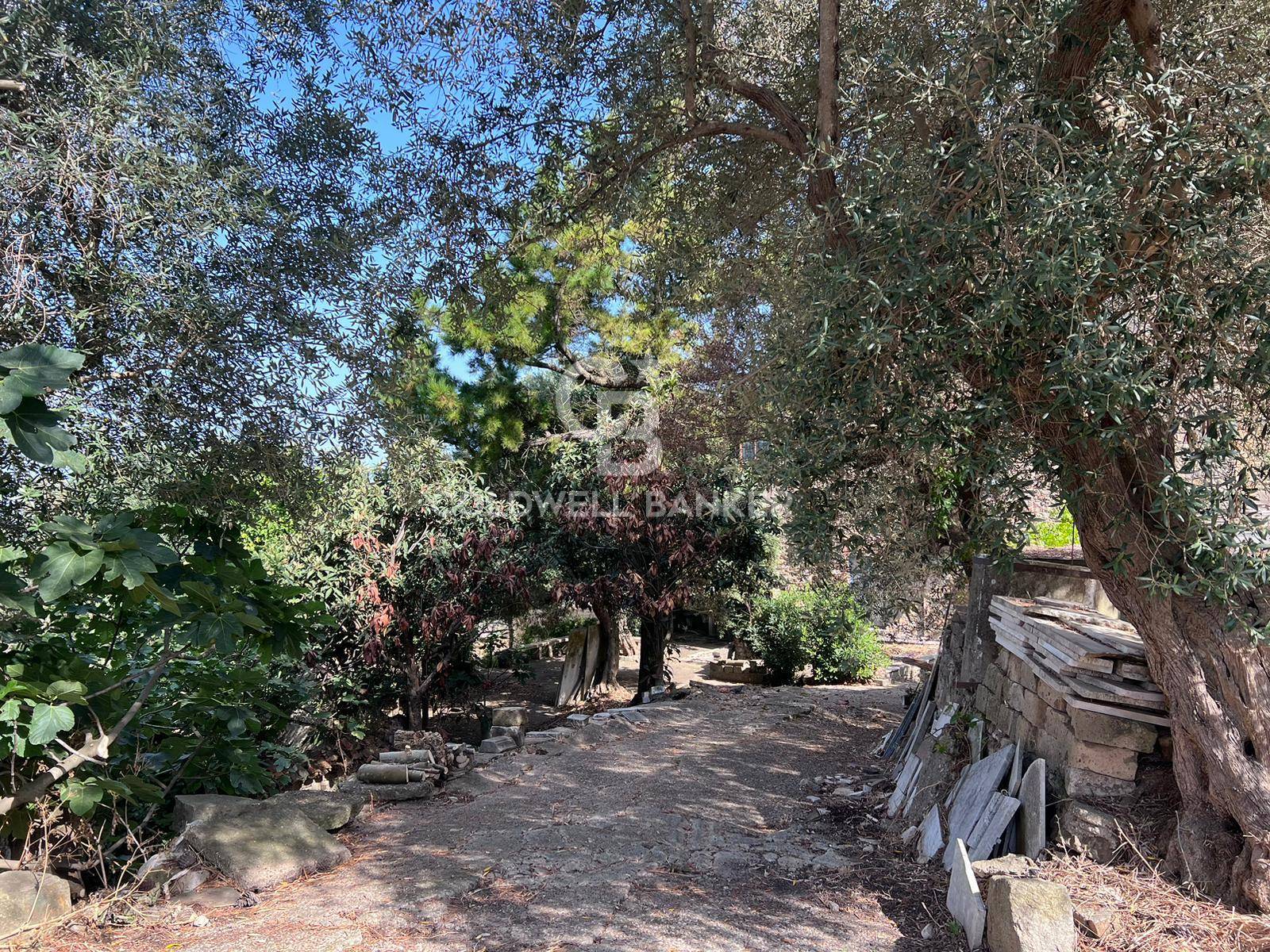 Casa indipendente in vendita a Torchiara