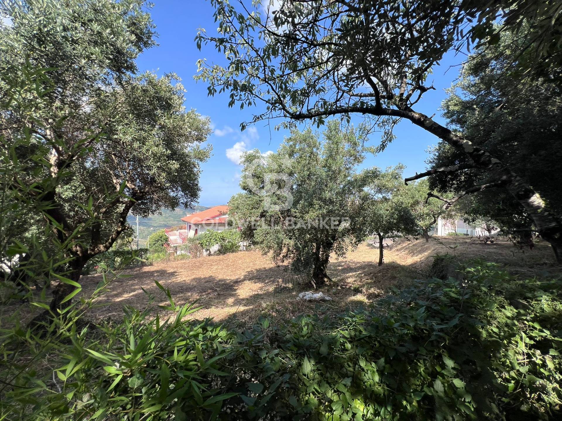 Casa indipendente in vendita a Torchiara