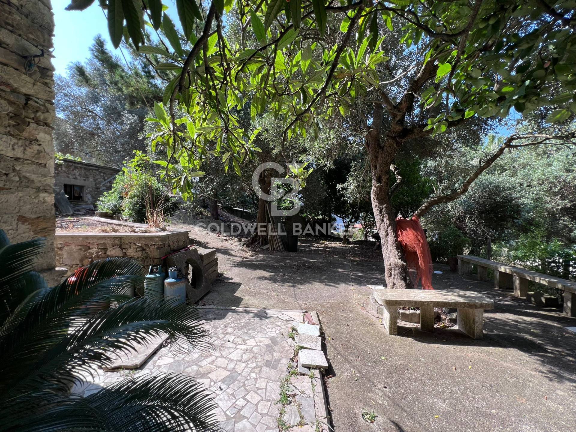 Casa indipendente in vendita a Torchiara