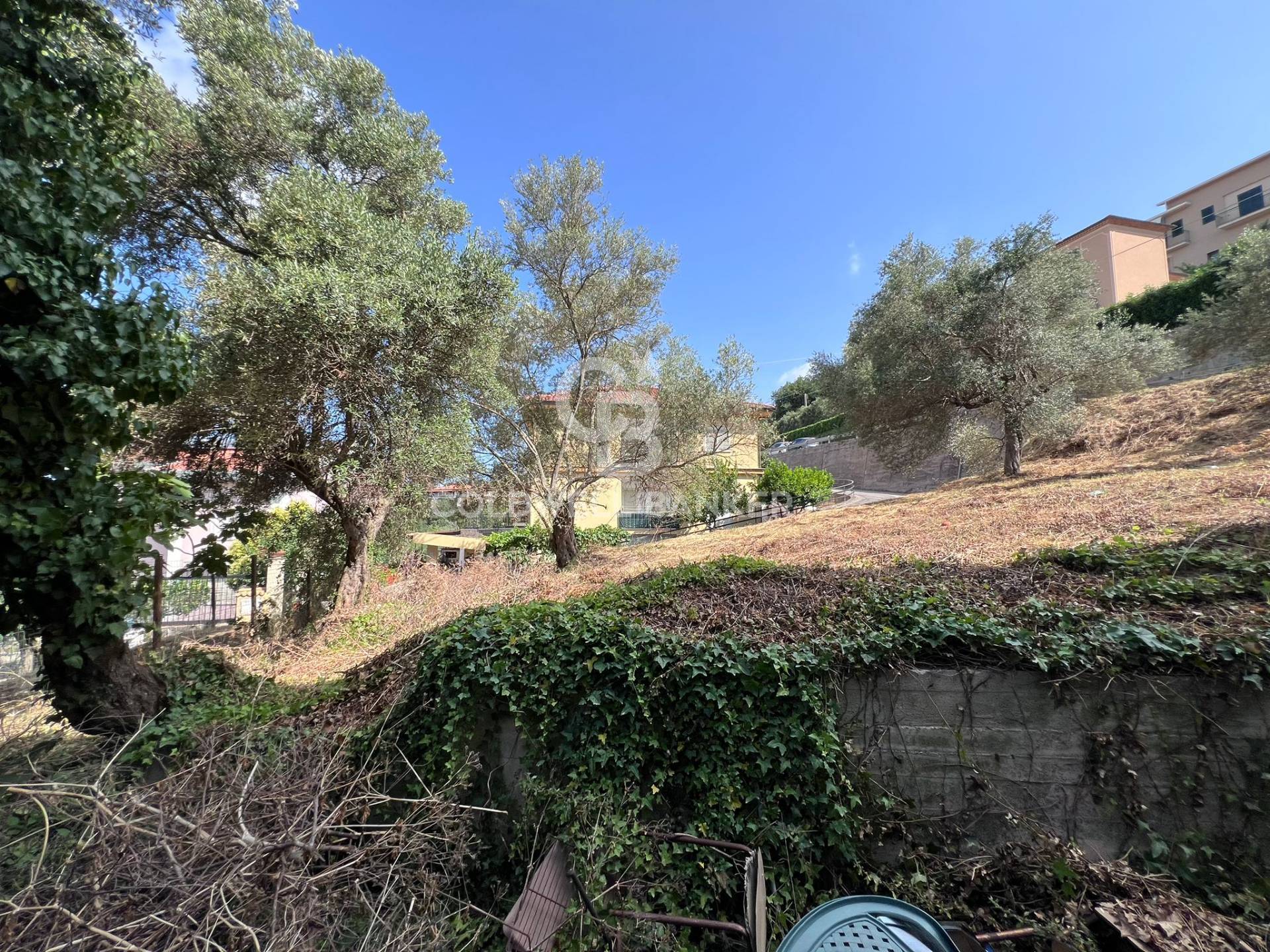 Casa indipendente in vendita a Torchiara