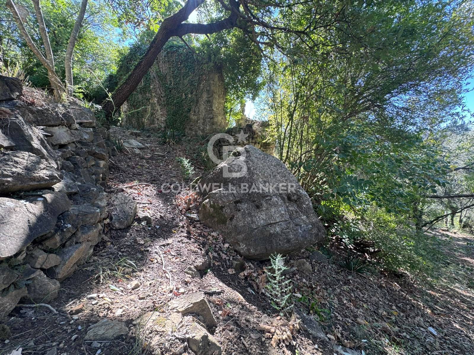Terreno in vendita a Giungano