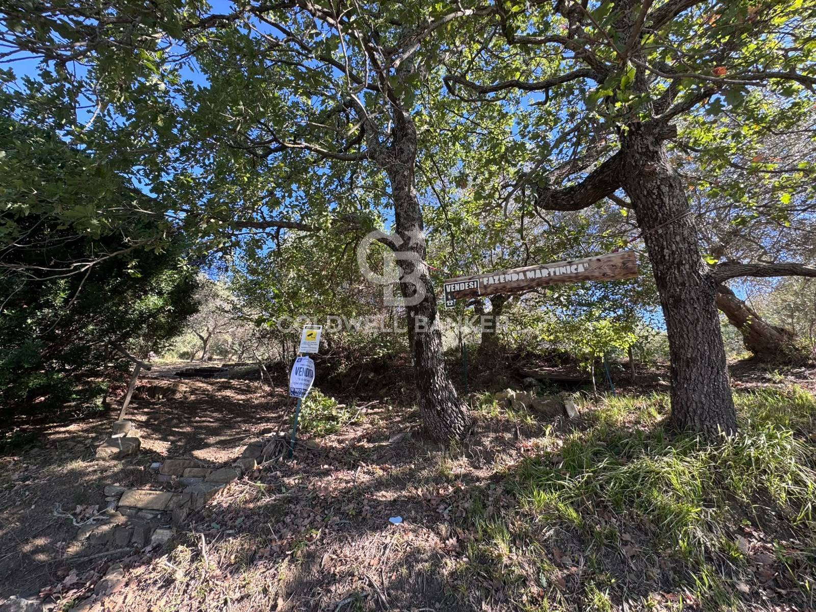 Terreno in vendita a Giungano
