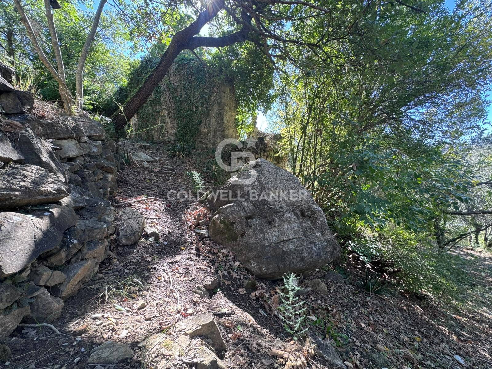 Terreno in vendita a Giungano