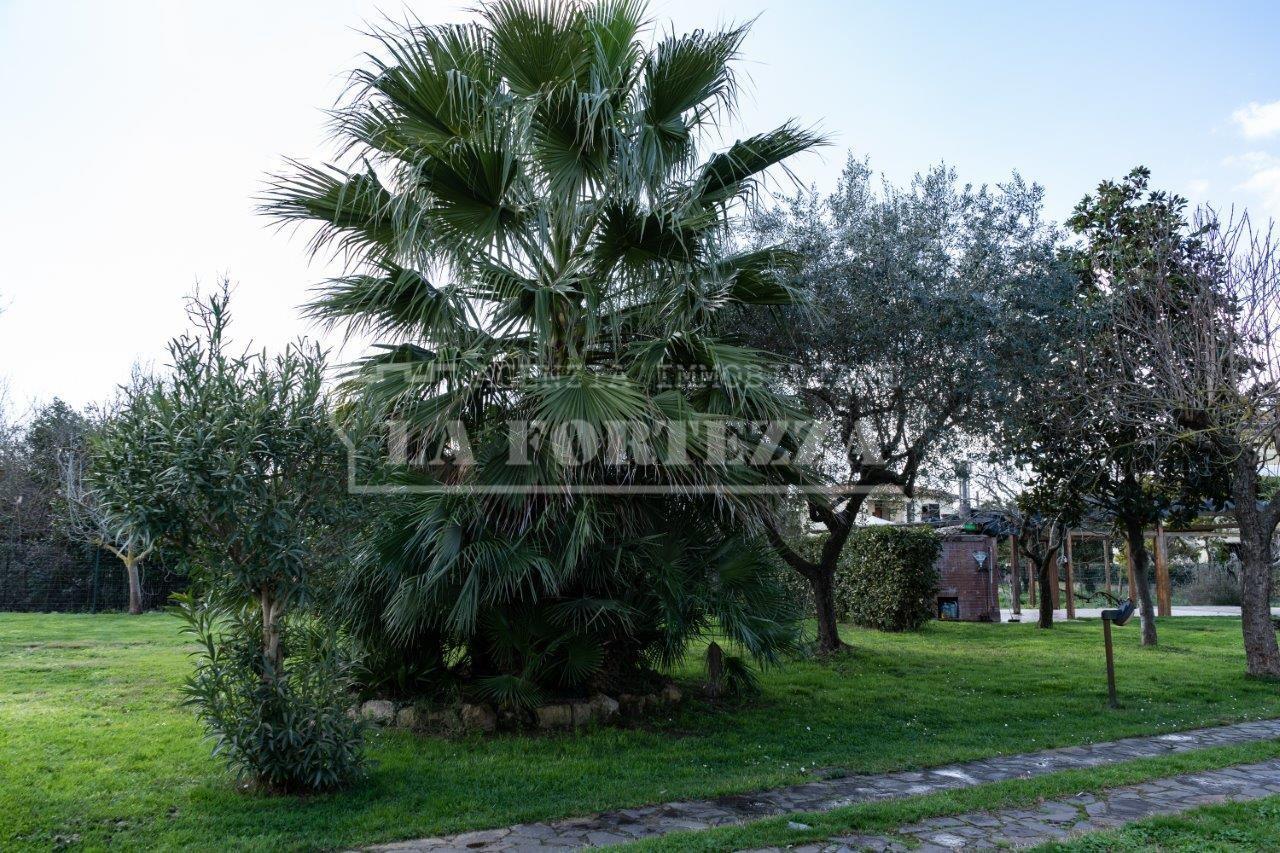 Casa indipendente con giardino, Pisa barbaricina