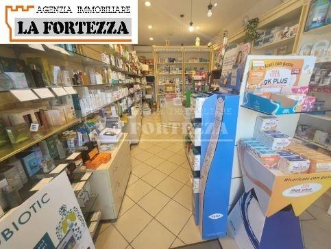Locale commerciale in affitto, Pisa porta fiorentina