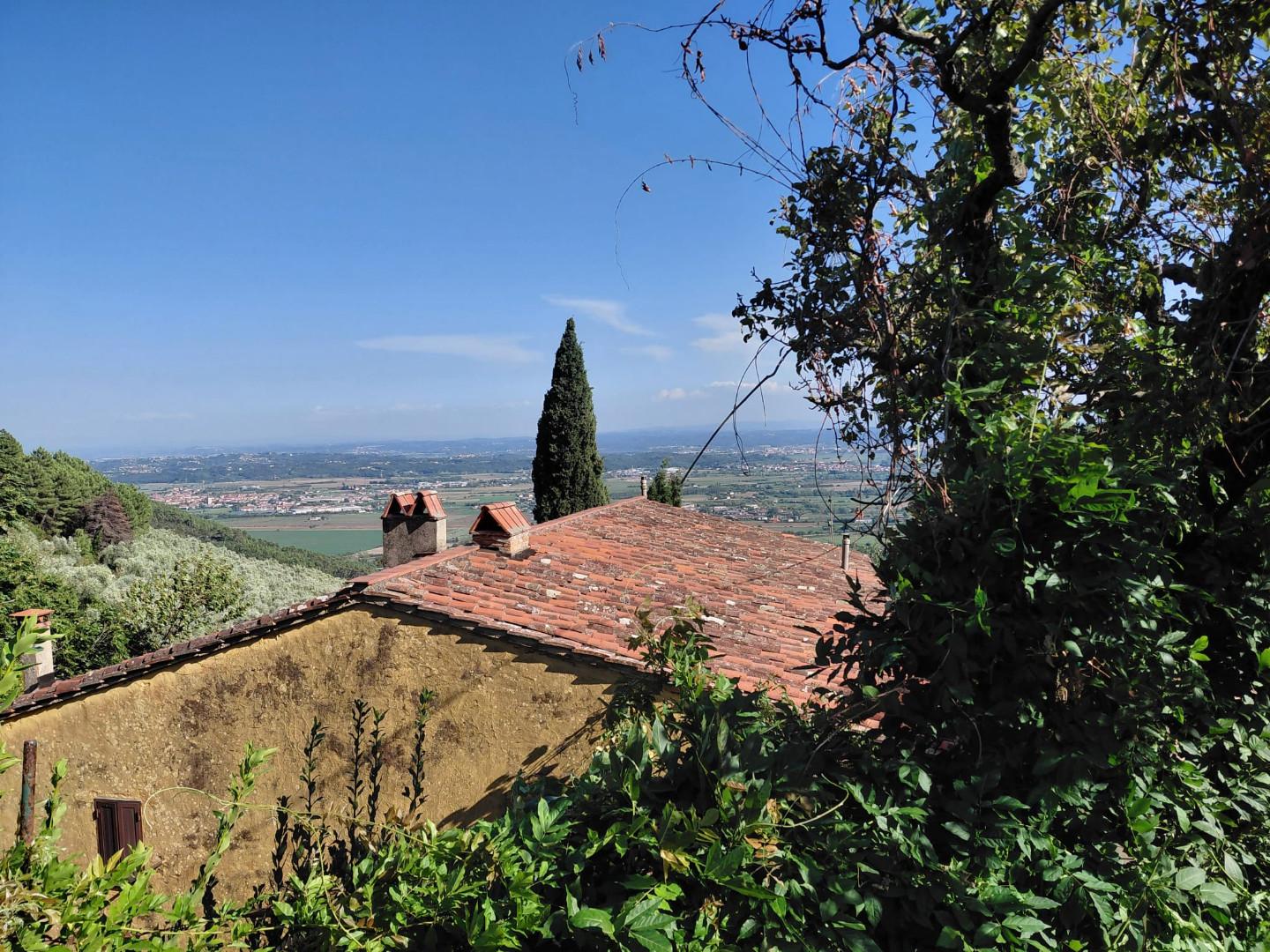 Rustico con giardino a Vicopisano