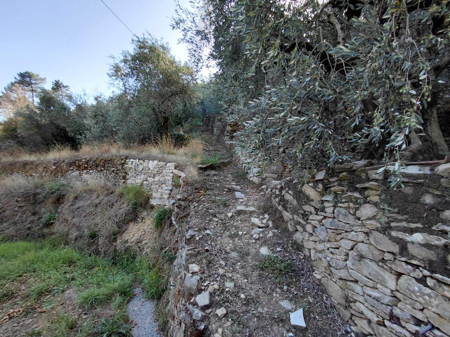 Rustico con giardino a Vicopisano