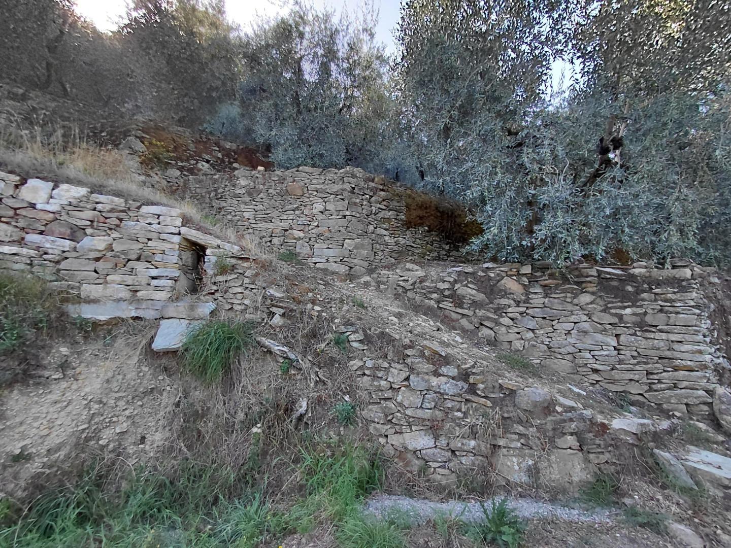 Rustico con giardino a Vicopisano