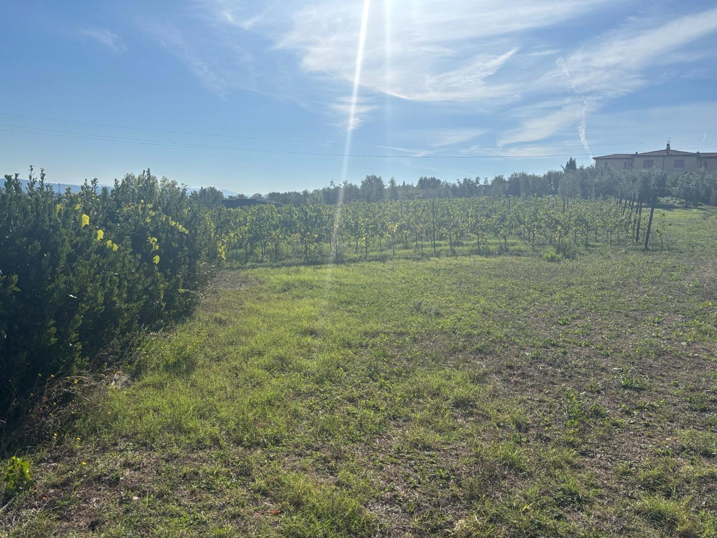 Terreno Edificabile in vendita a Capannoli