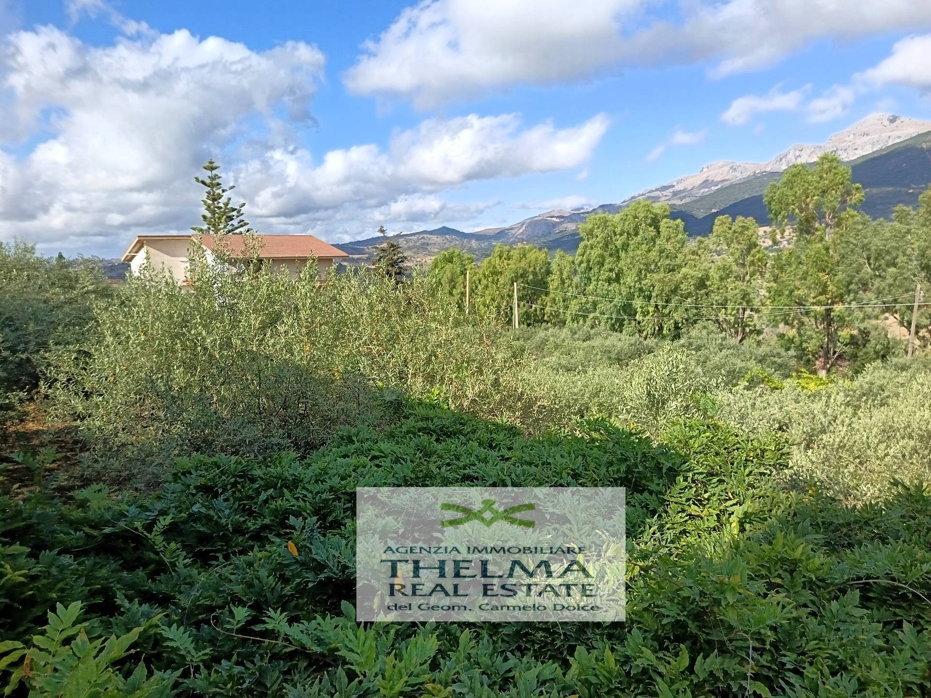 Casa singola in vendita a Collesano