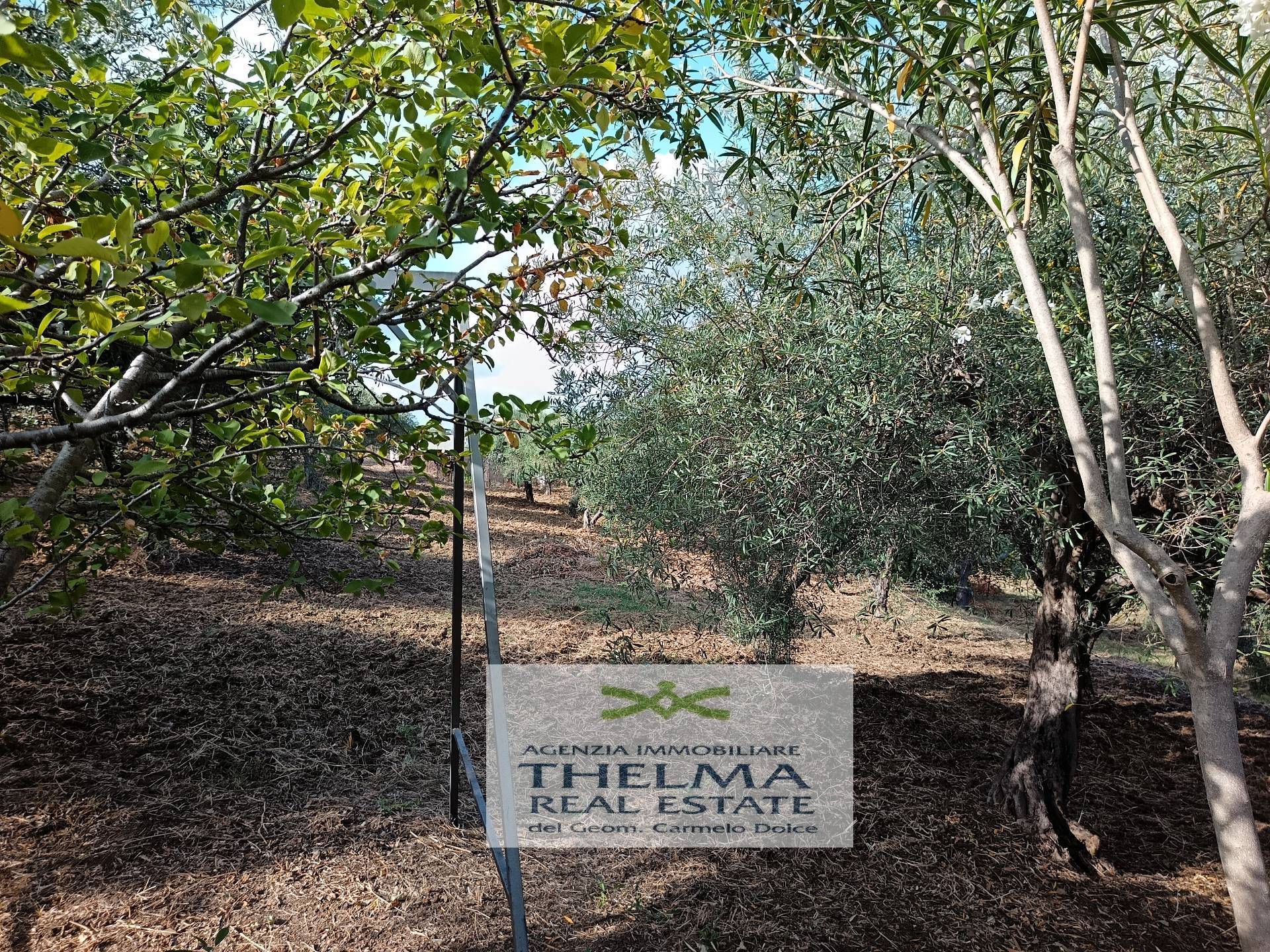 Casa singola in vendita a Collesano