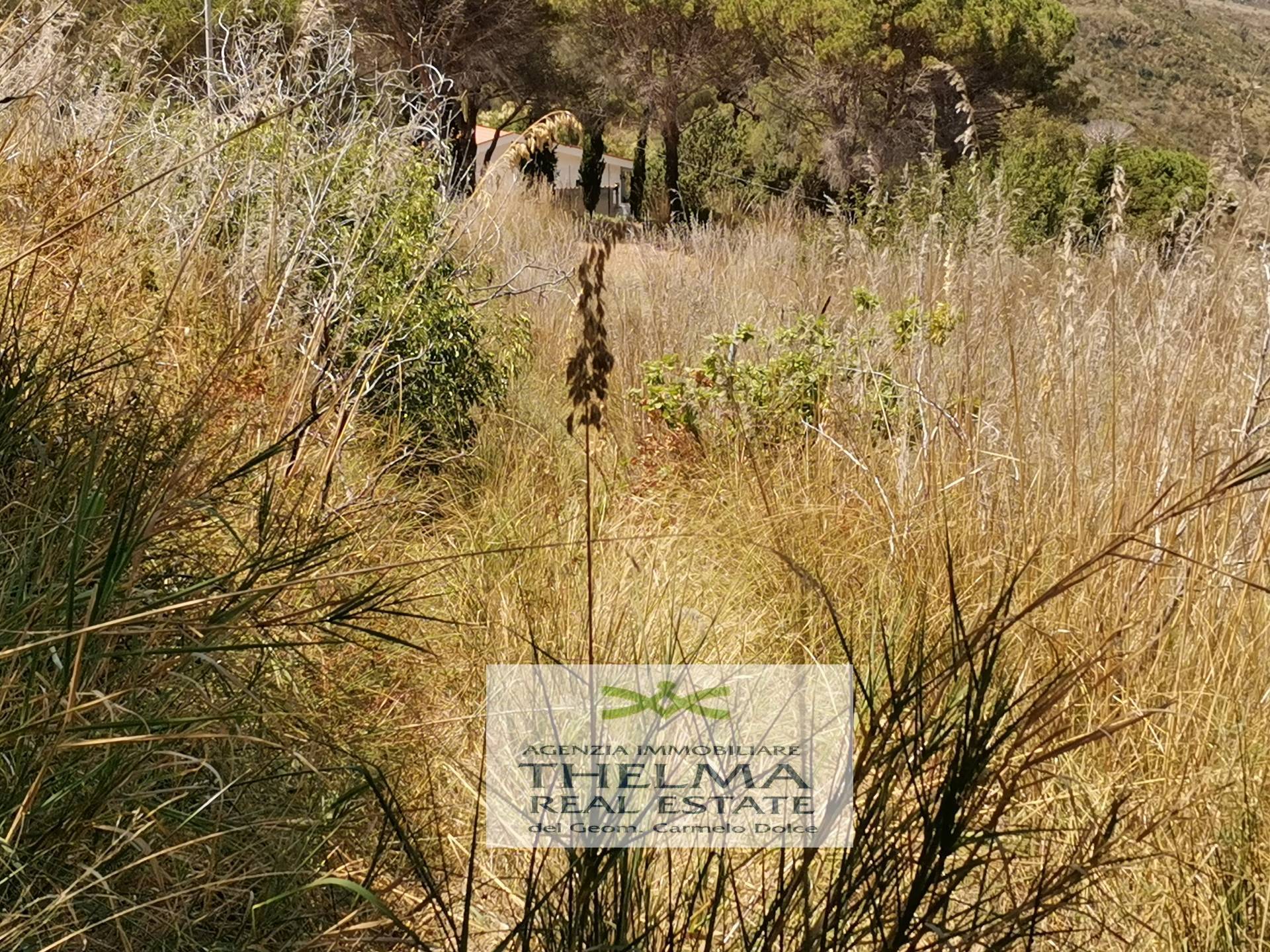 Terreno Agricolo in vendita a Cefal