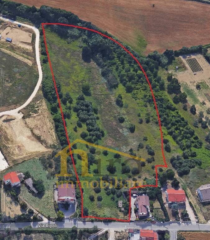 immagine annuncio 1 di 2