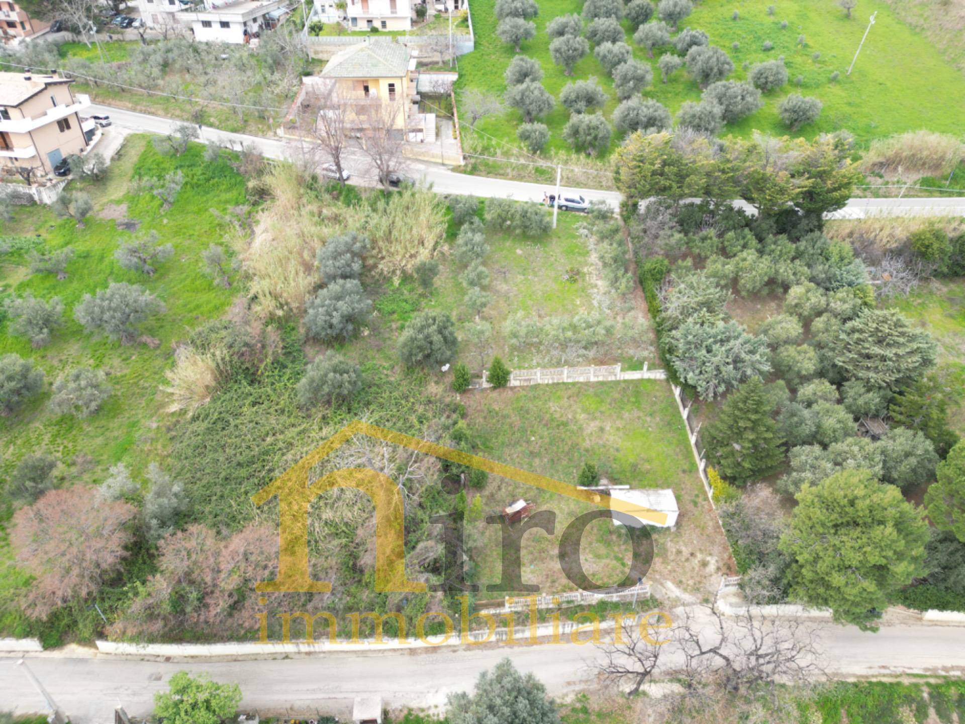 immagine annuncio 4 di 6