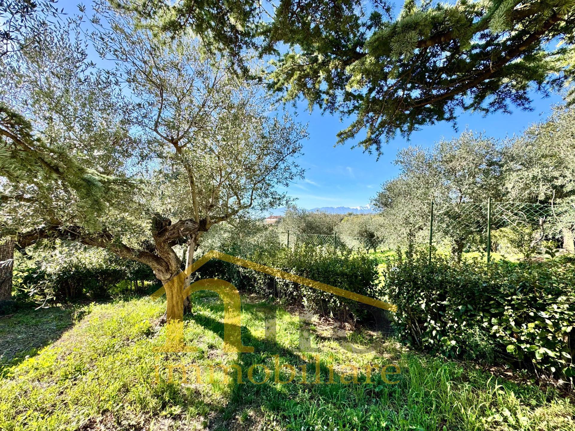 Casa singola in vendita a Moscufo, Senarica-Vertilina