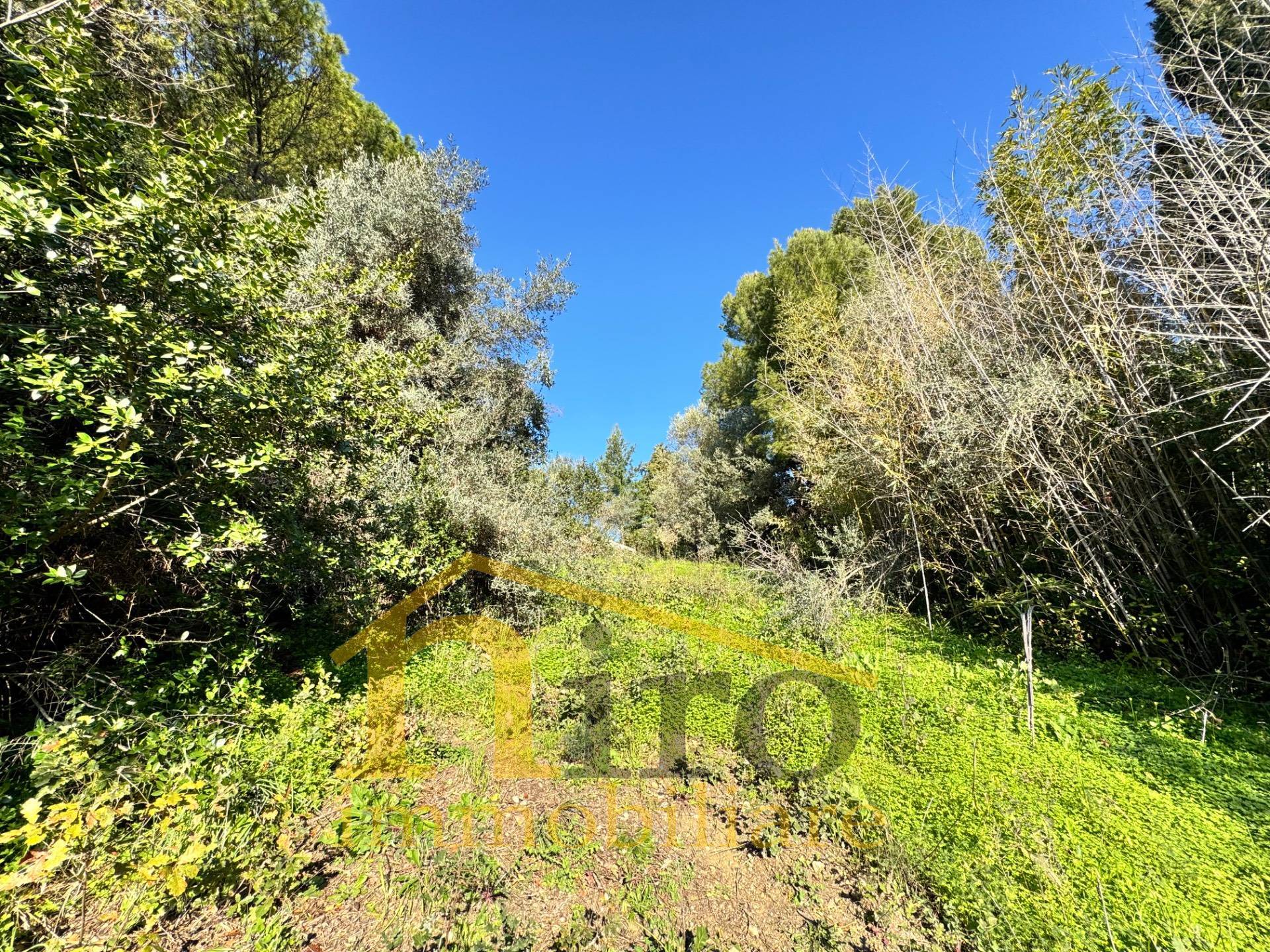 Terreno edificabile in vendita a Montesilvano