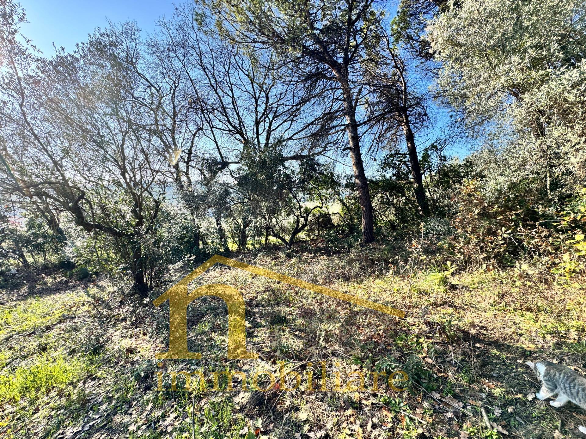 Terreno edificabile in vendita a Montesilvano